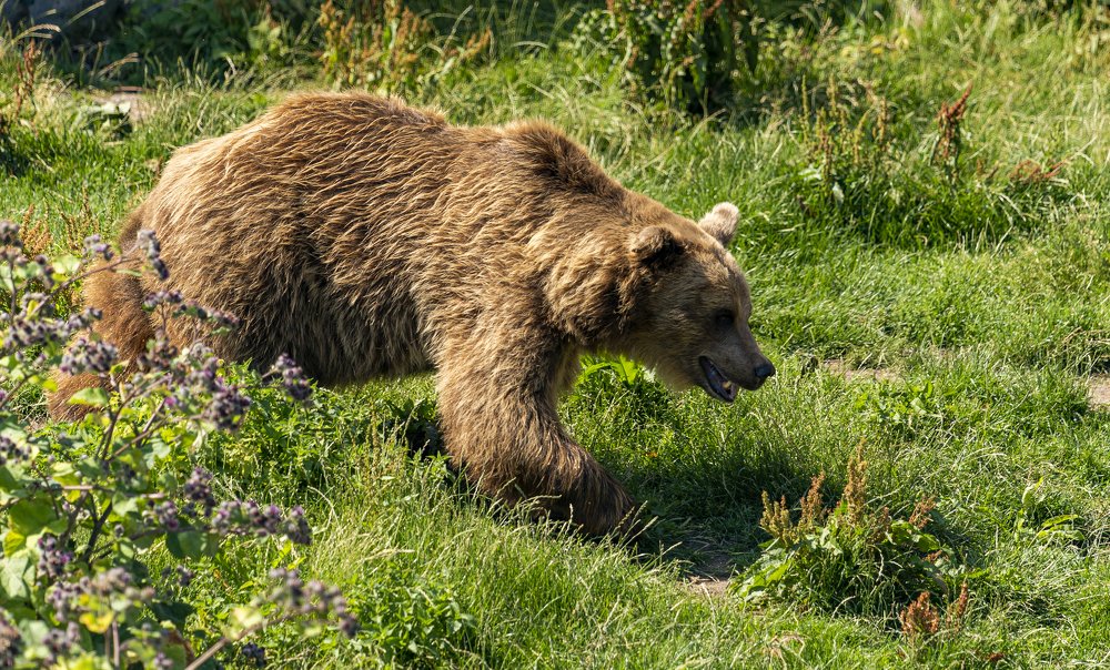 Photograph by Susanna Kari