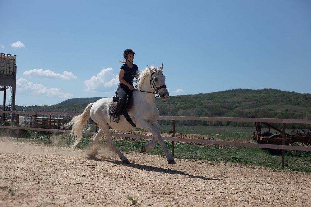 Photograph by Ирина Голомако