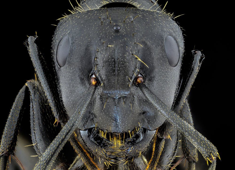 Photograph by Dobrin Ivanov