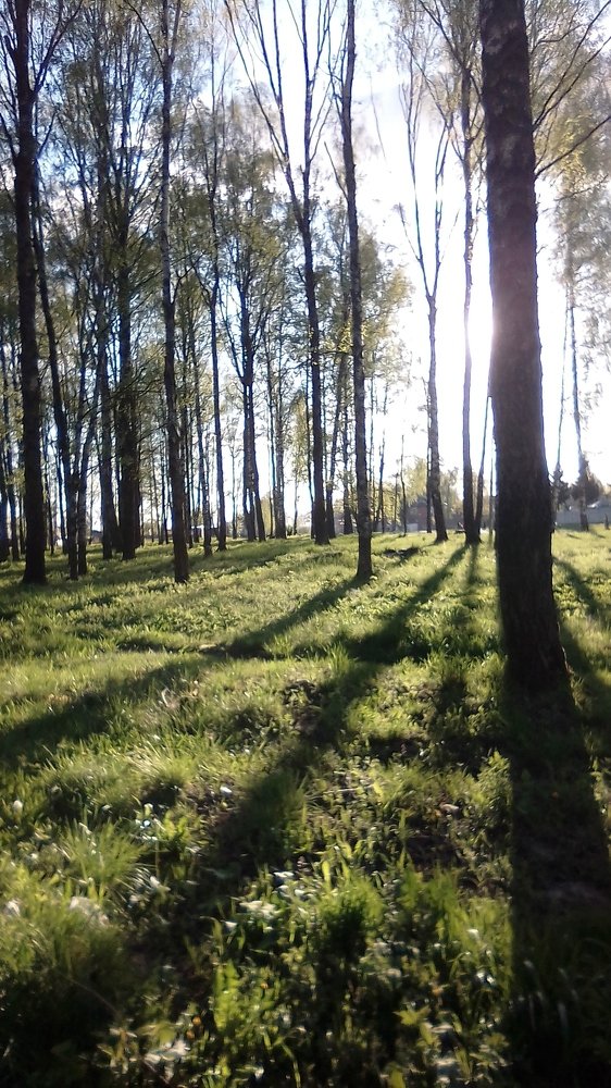 Photograph by Елена Качнова