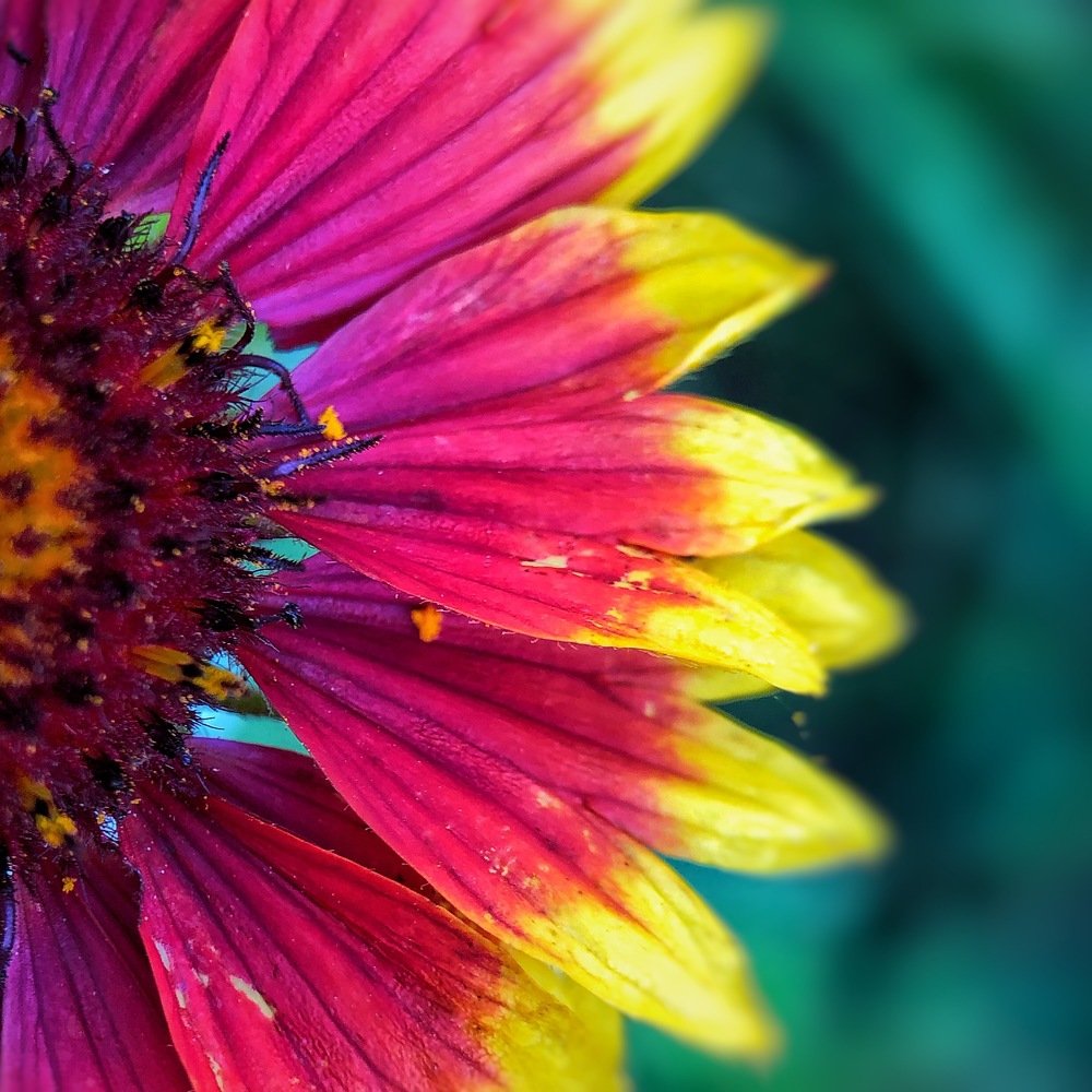 Краски лета