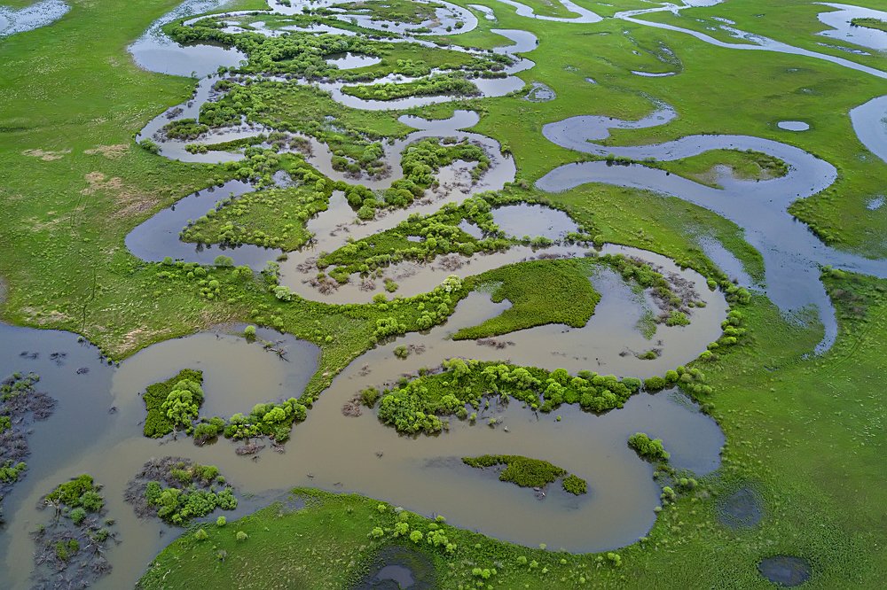 Photograph by Ольга Мусиенко