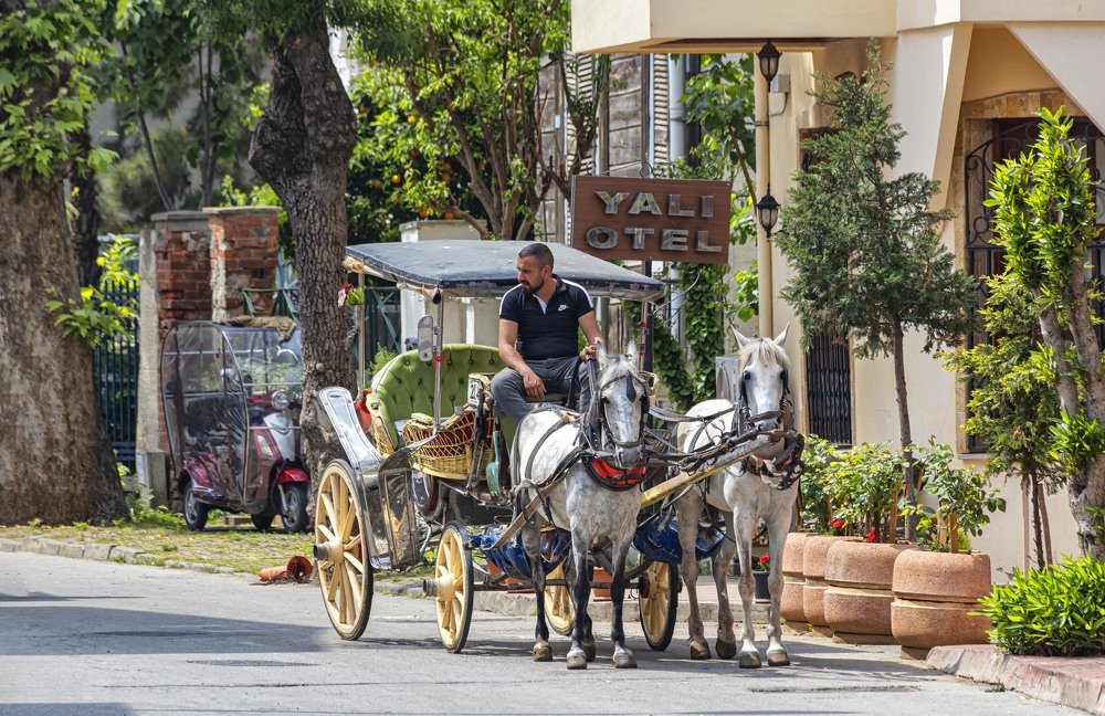 Photograph by Вячеслав Касаткин