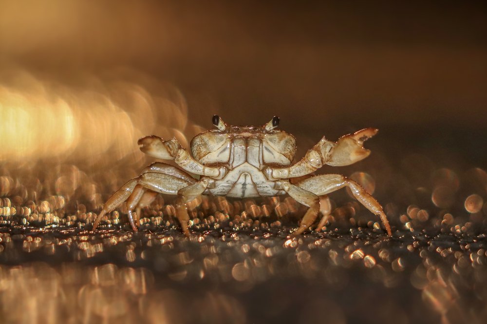 Photograph by Dhruv Prajapati