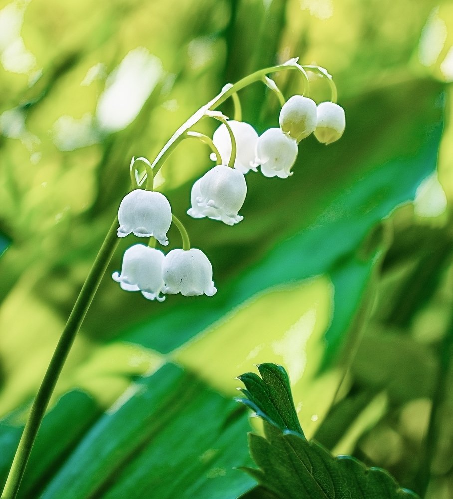 Photograph by Sergey Paramonov