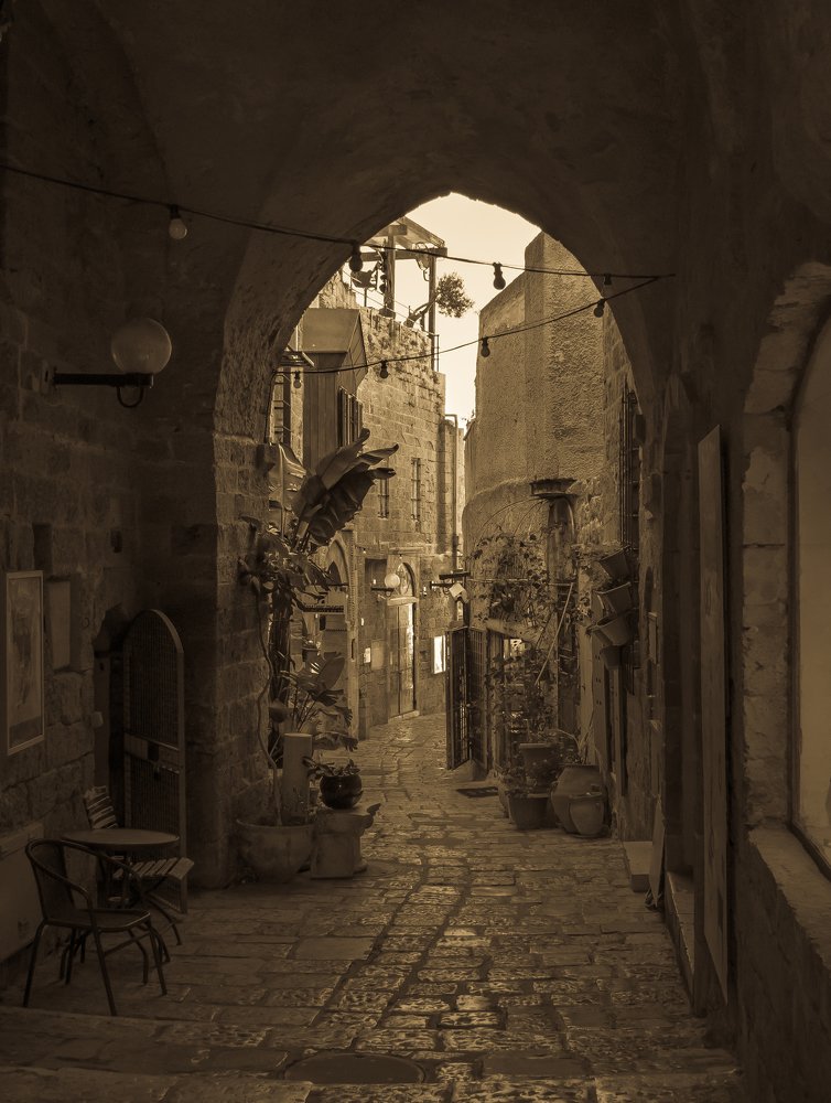 Photograph by Михаил Заброцкий