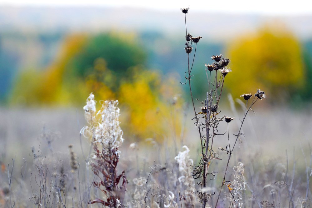 Photograph by Ирина Костарева