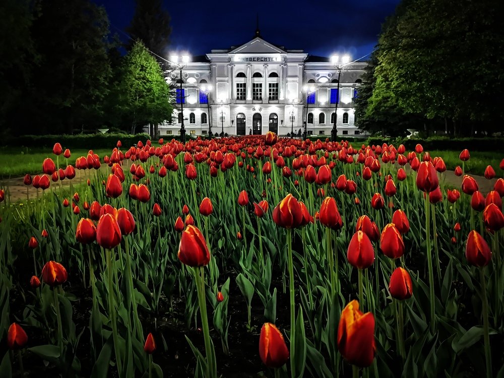 Голландия в Томске