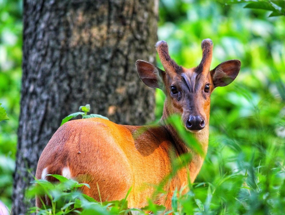 Photograph by Ahim Paul