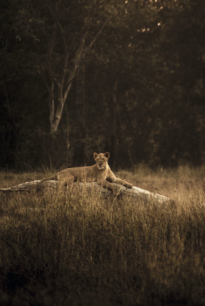 Photograph by Zaheer Abbas