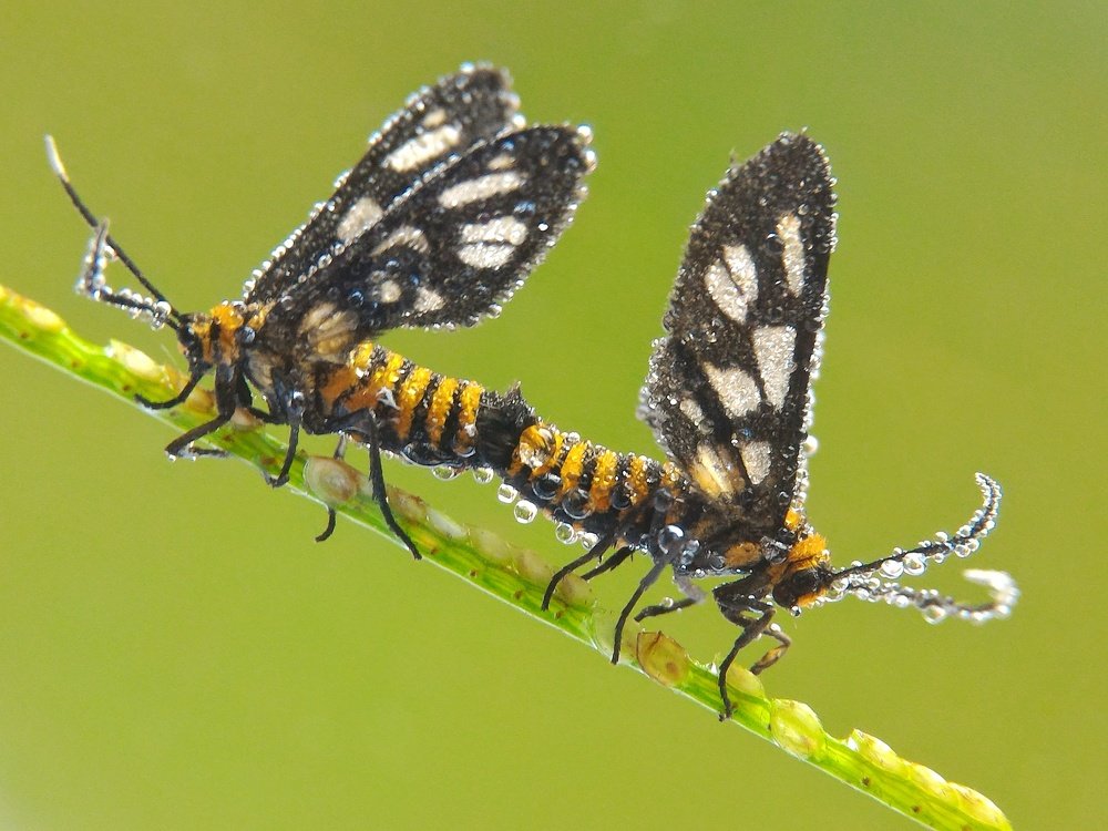 Photograph by  Duta Kharisma