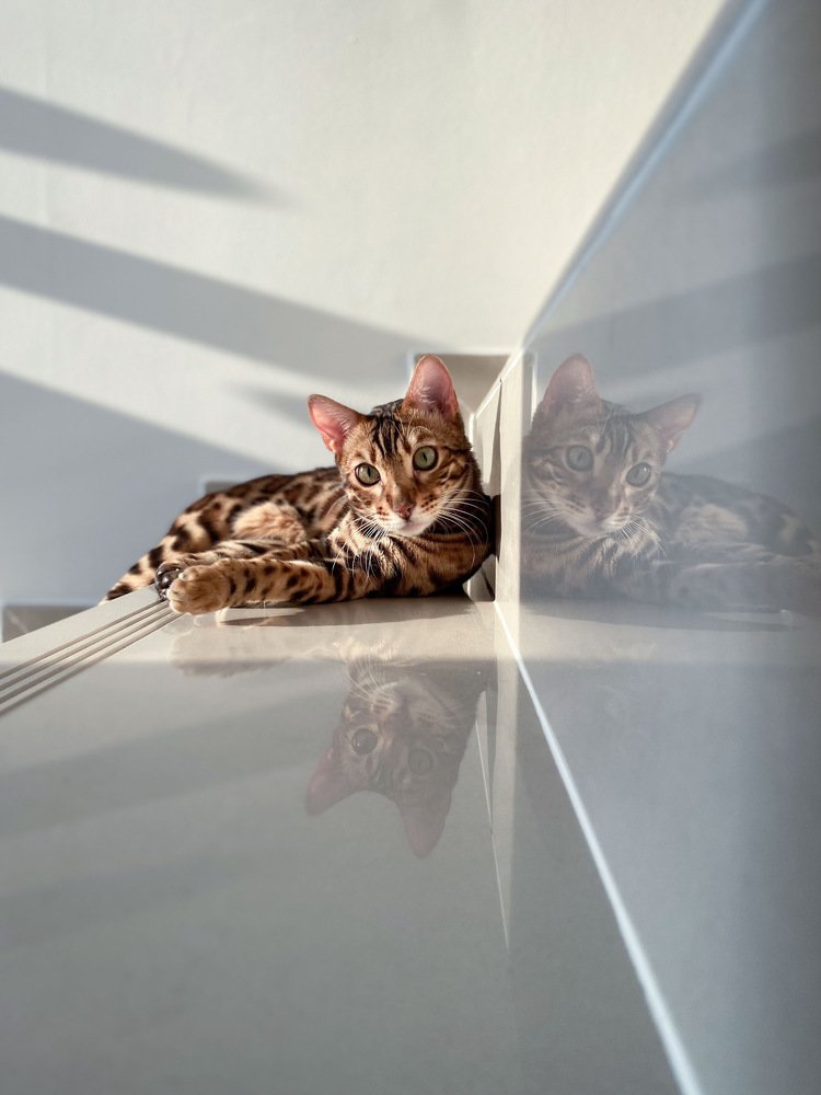 Photograph by Irina Katoshina