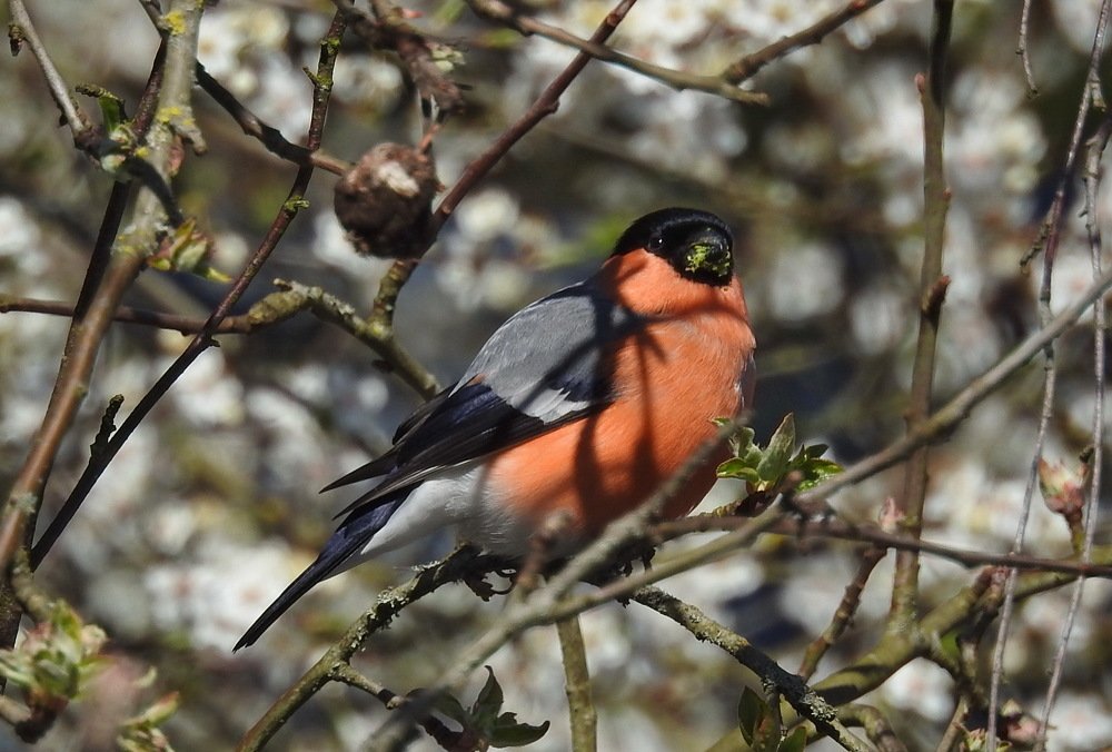Photograph by INESA POROHOVA