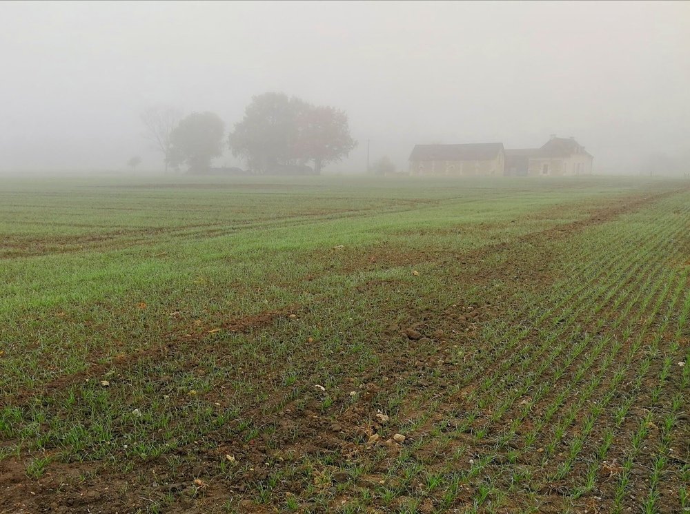 Photograph by Иван Шатный