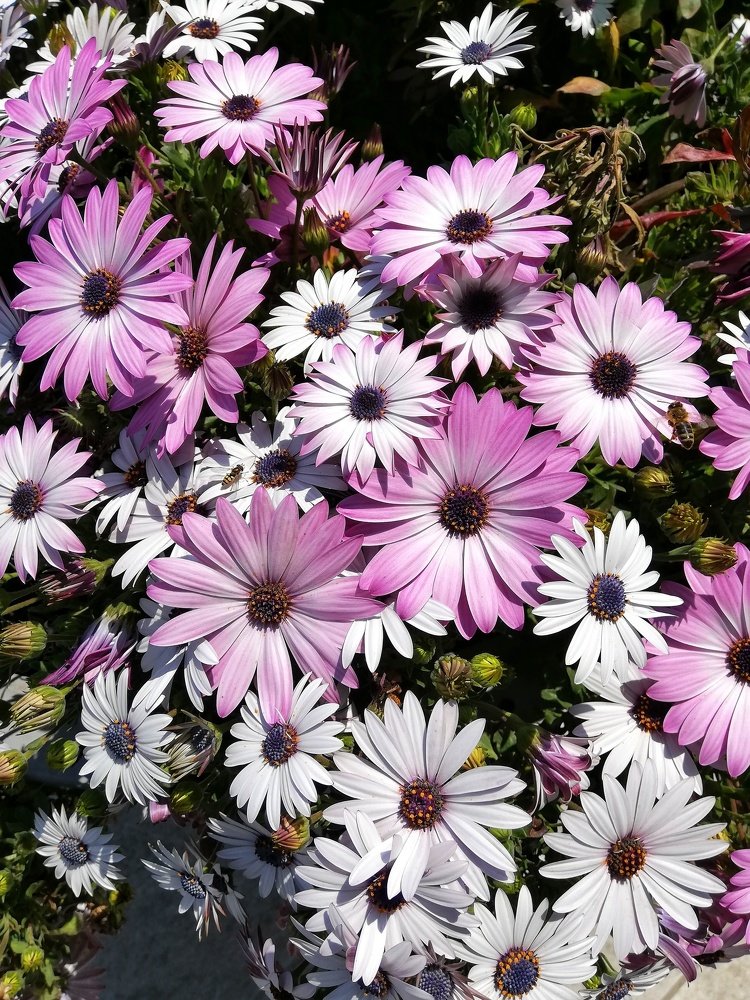 Photograph by Фуад Ибрагимов