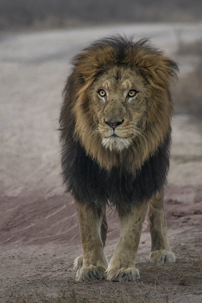 Photograph by Zaheer Abbas