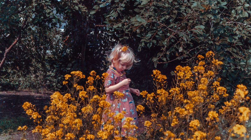 Photograph by елена кузьмина