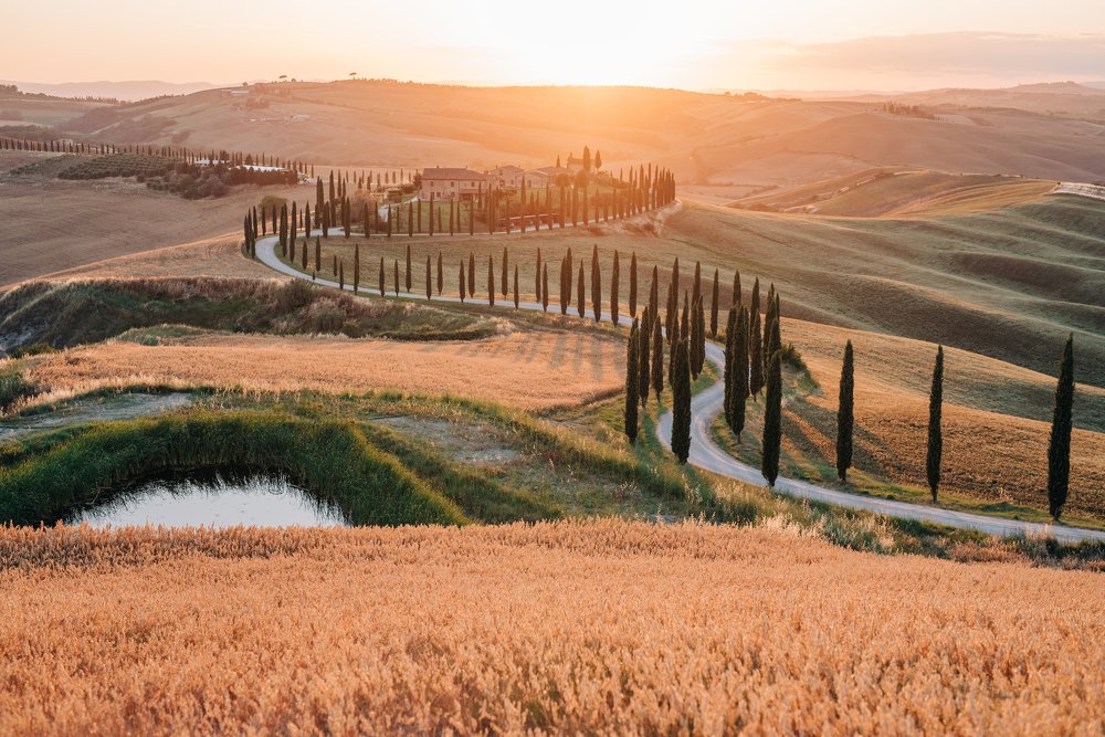 Summer in Tuscany