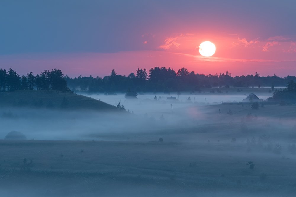 Photograph by Роман Фабричный