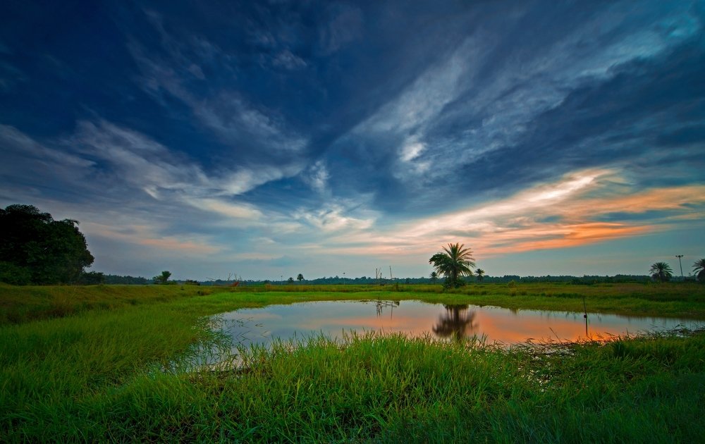 Photograph by Pinak Paul