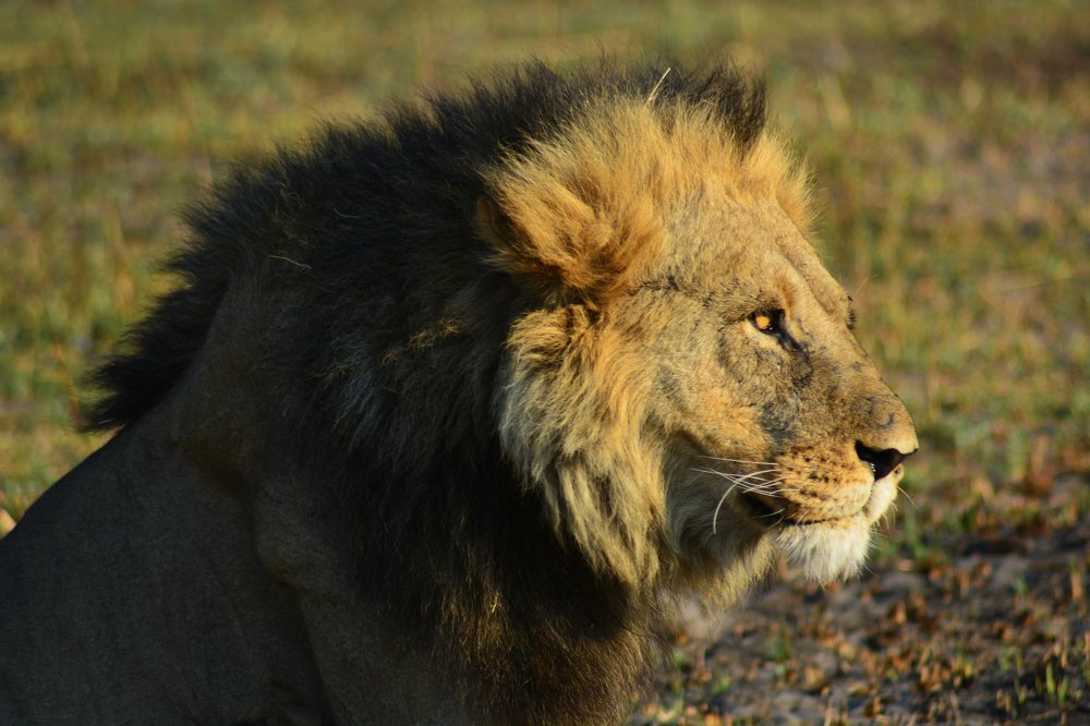 Photograph by Анатолий Орлов