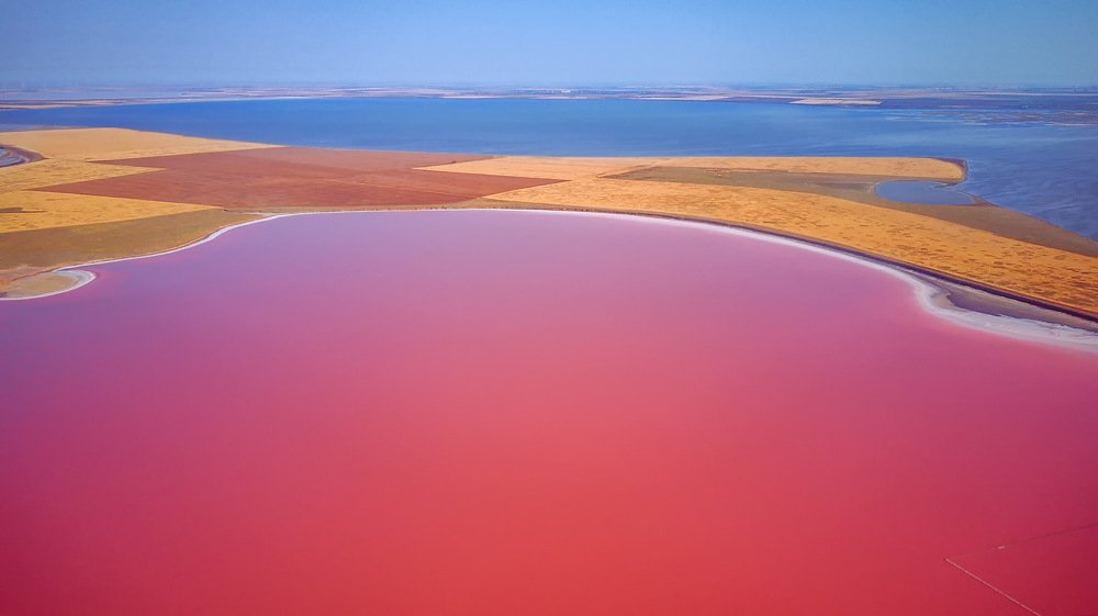 Розовое озеро