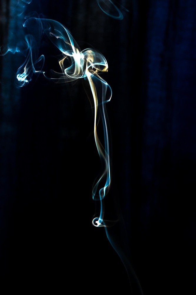 Photograph by Niyana