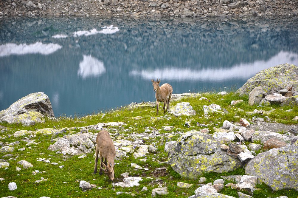 Photograph by Алексей Черкашин