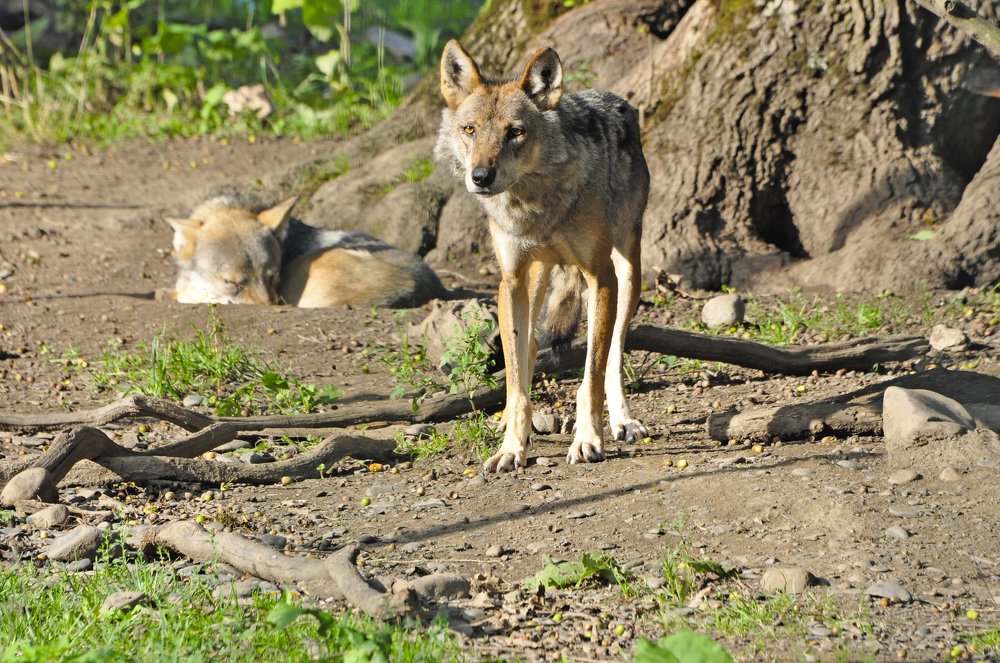 Photograph by Алексей Черкашин