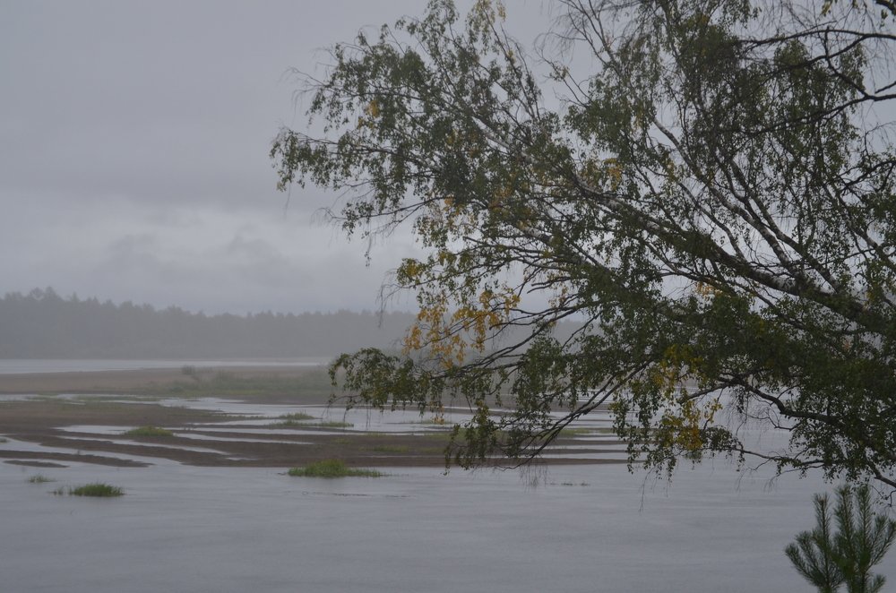 Photograph by Valentina