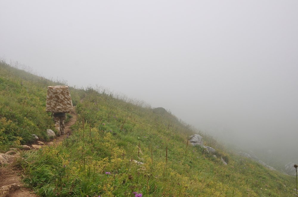 Photograph by Алексей Черкашин