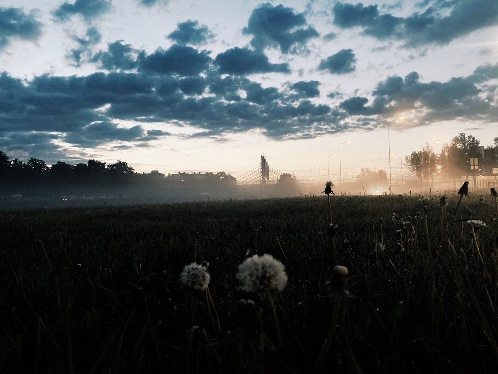 Photograph by Дмитрий Забуга