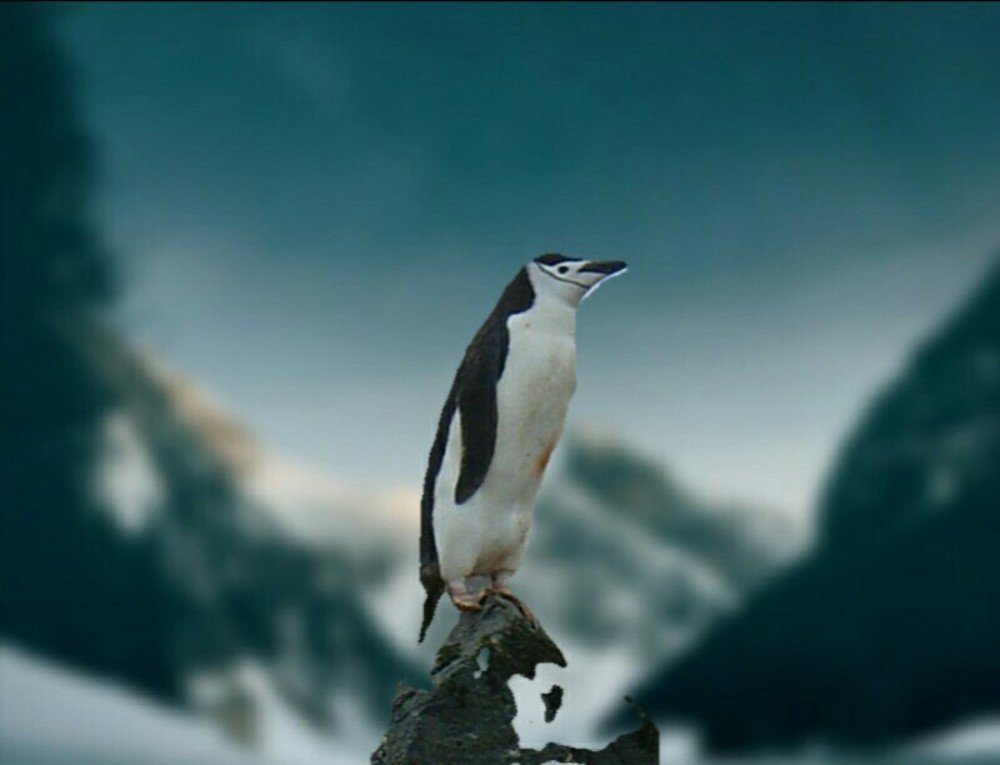 Photograph by Васильев Иван