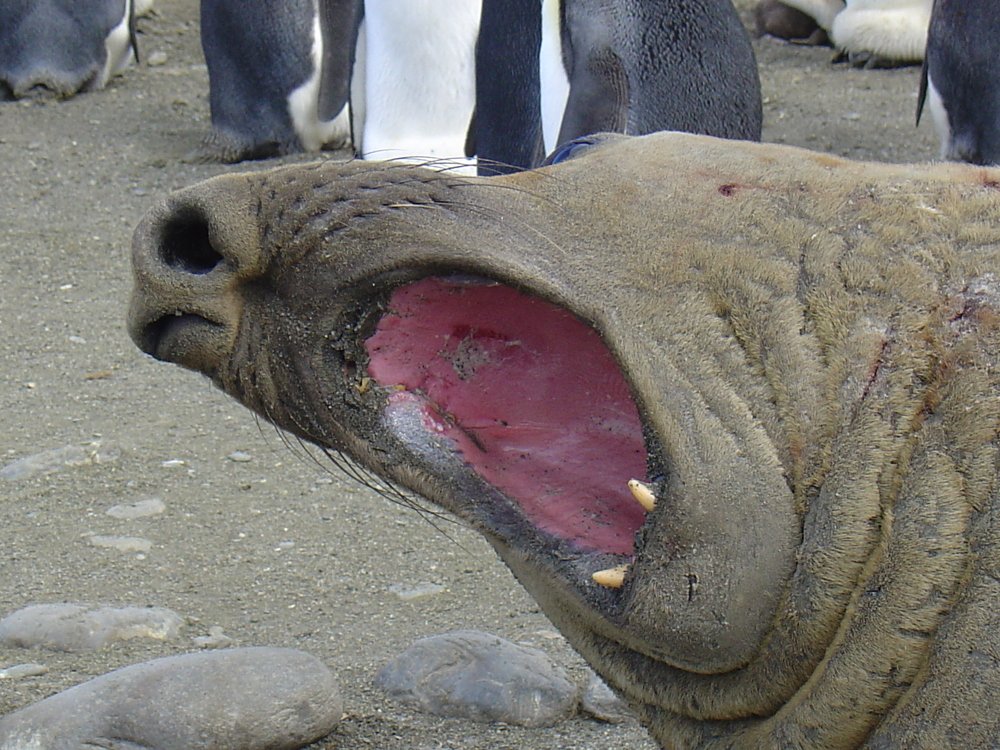 Photograph by Васильев Иван