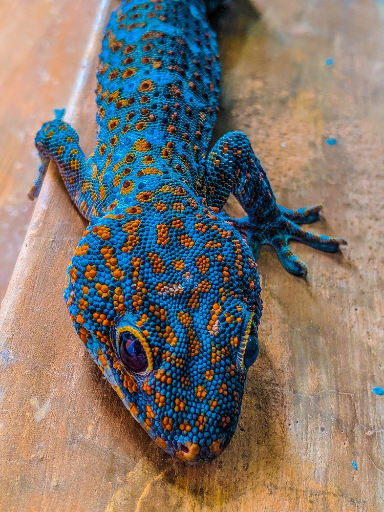 Photograph by TYM XS