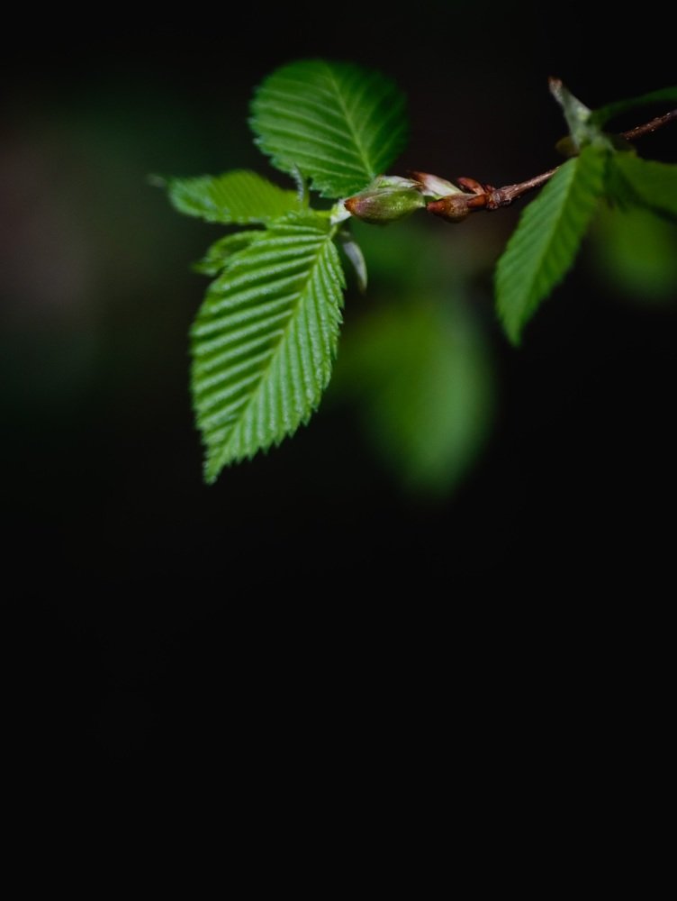 Photograph by Марина Моисеева