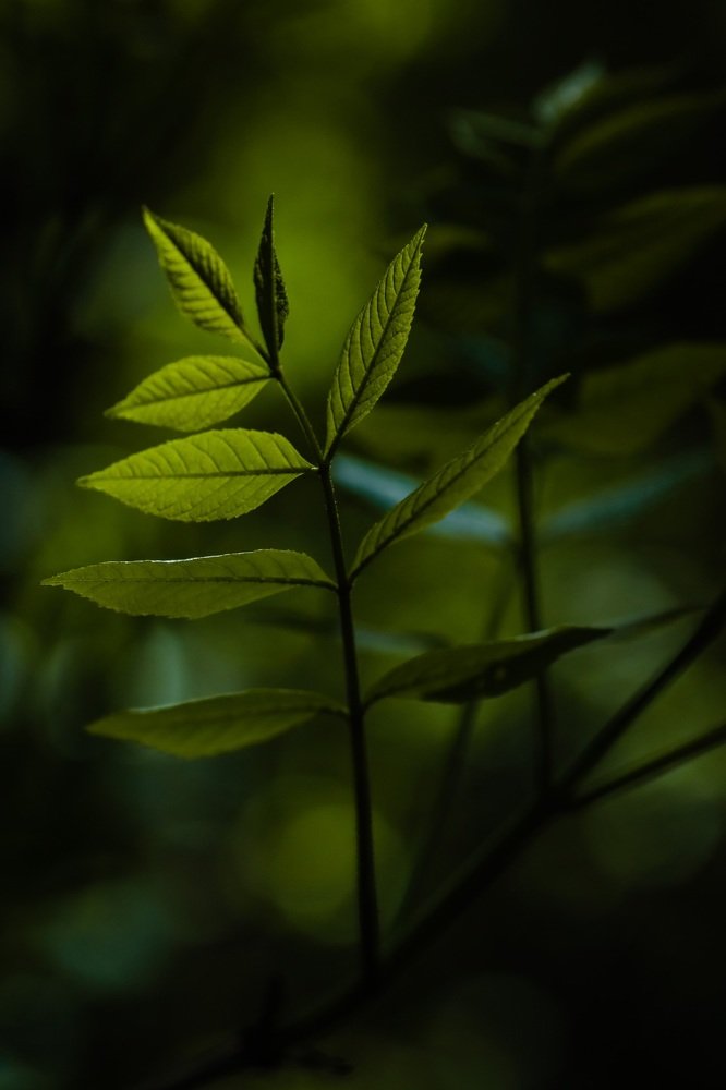 Photograph by Марина Моисеева