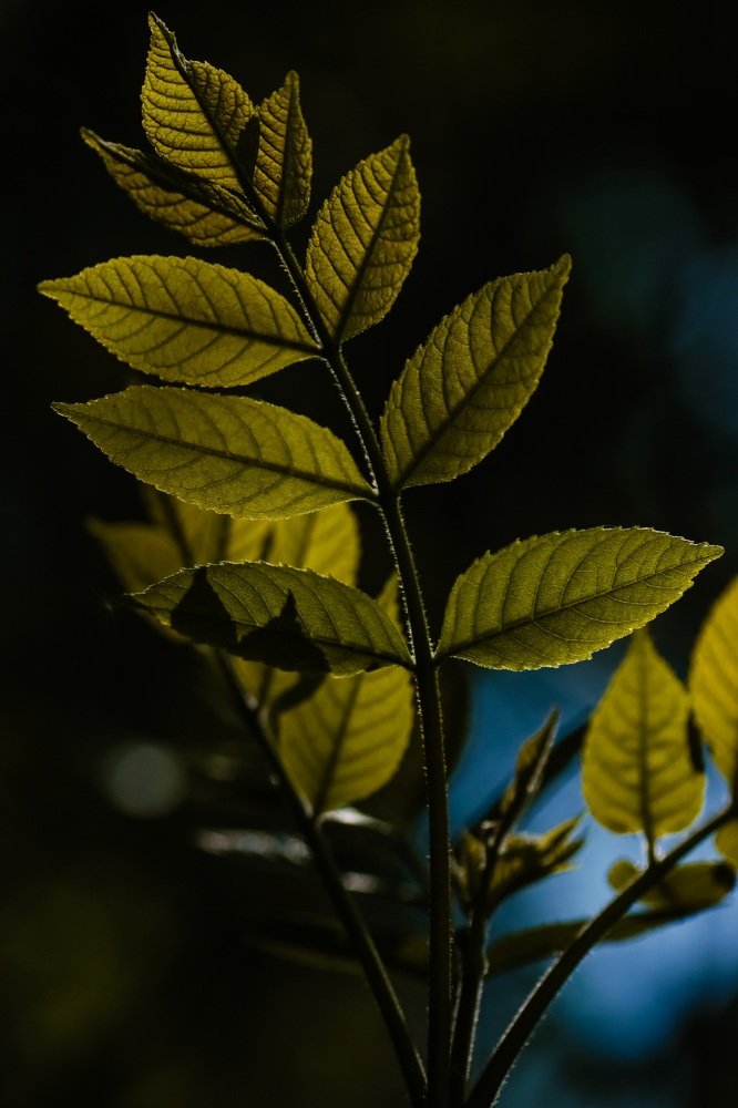 Photograph by Марина Моисеева