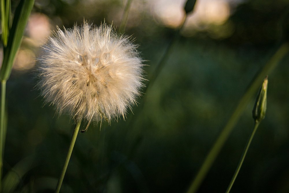 Photograph by Тигран Гукасян