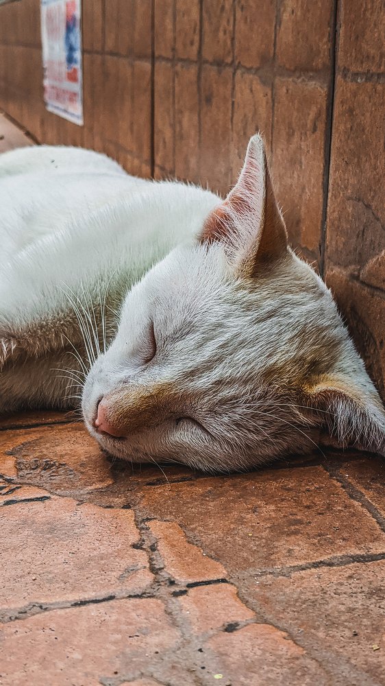 Photograph by TYM XS