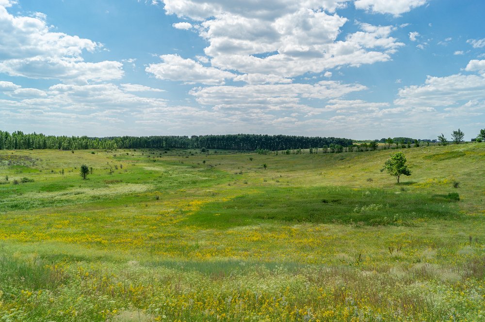 Photograph by Максим А.О.