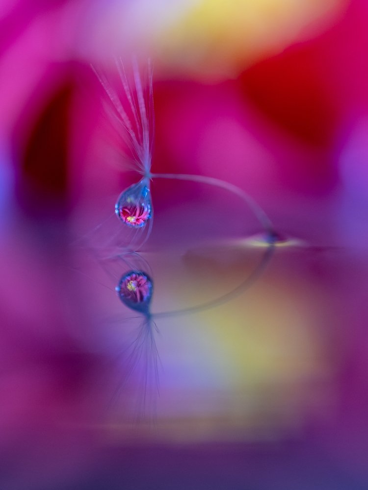 Photograph by Birol Atalay