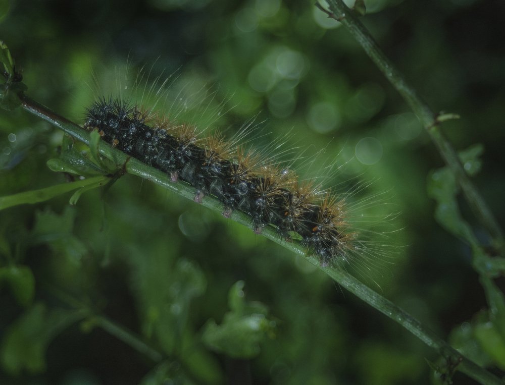 Photograph by Riga Mpwono