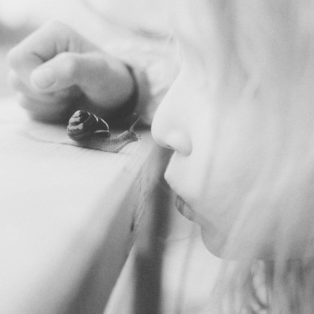 Photograph by Ефремова Евгения
