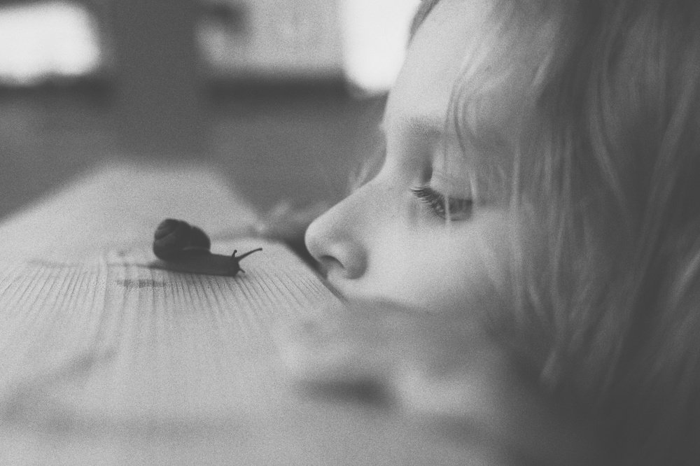 Photograph by Ефремова Евгения