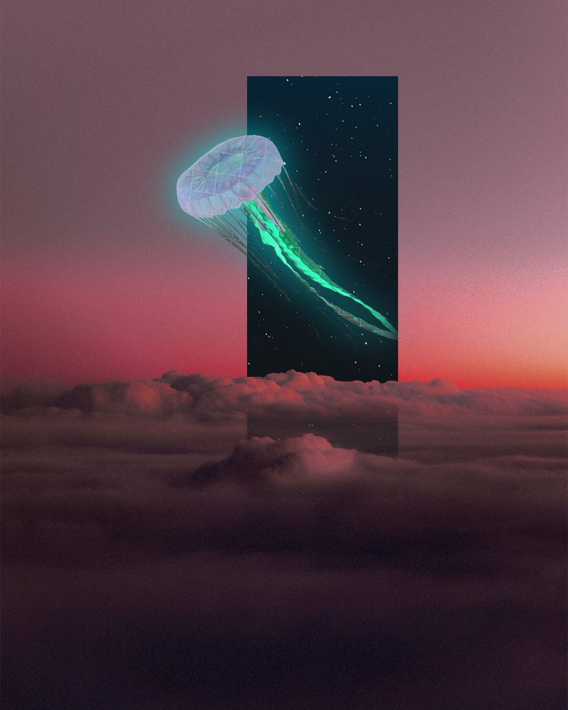 Photograph by Amirsoheil Vahedizadeh