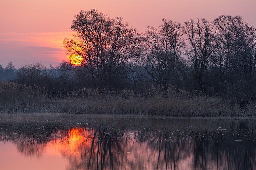 Фотография автора Юрий Сорокин