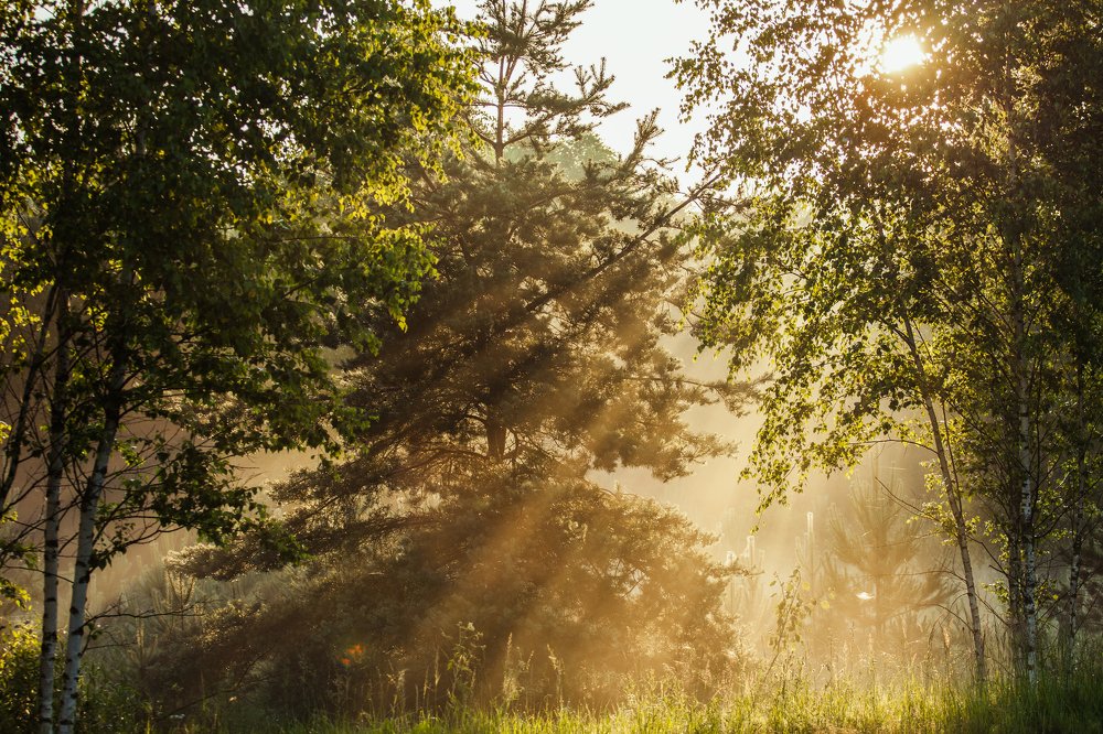 Photograph by Андрей Плеханов