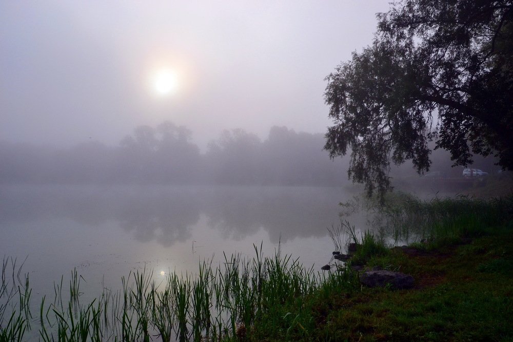 Photograph by Дмитрий Волков