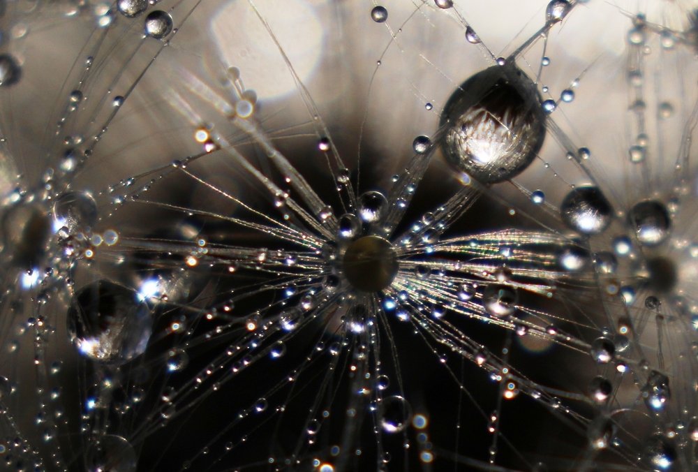 Photograph by Валентина